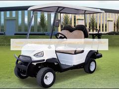 2-zits / 2+2-zits Elektrische Golfkarren Loodzuuraccu / Lithiumaccu